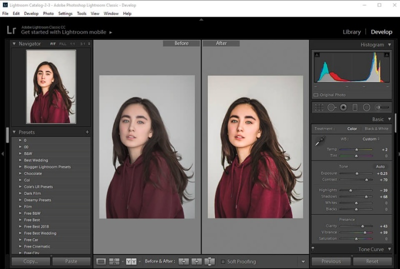 Lightroom Mod Apk