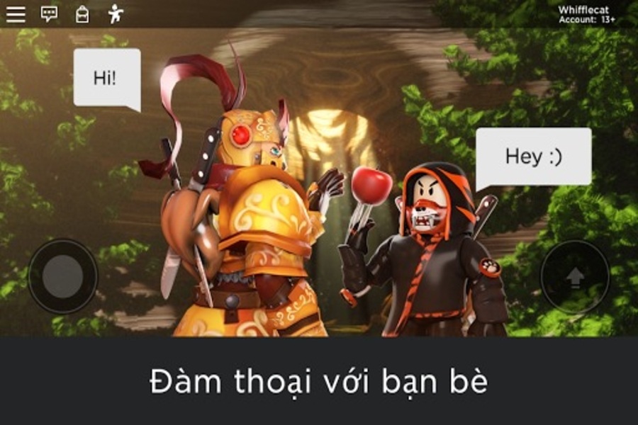 Banner Hack Roblox VNG 3
