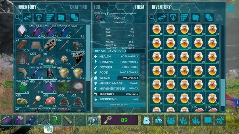 Hack ARK